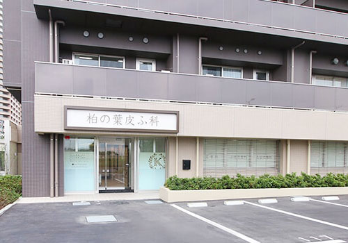 柏の葉皮ふ科　外観